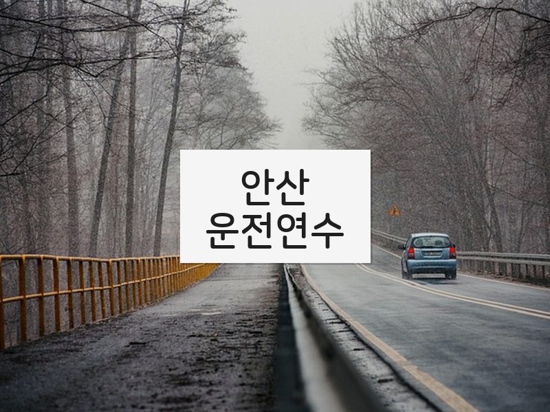 안산운전연수 후기