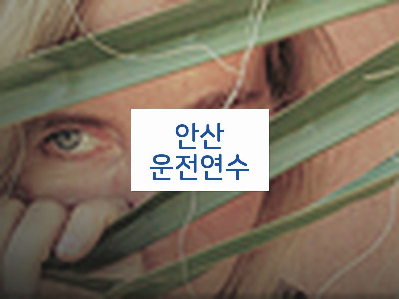 안산운전연수 후기