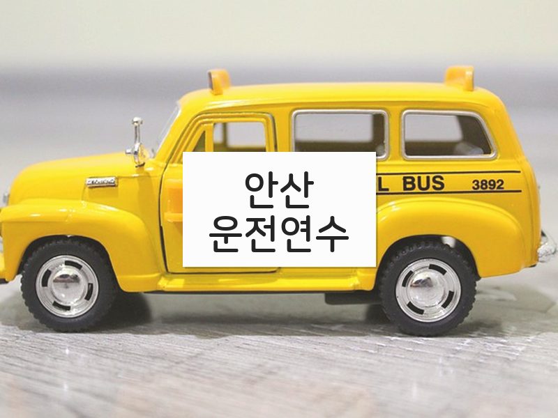 안산운전연수 후기