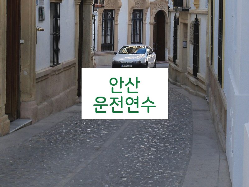 안산운전연수 후기