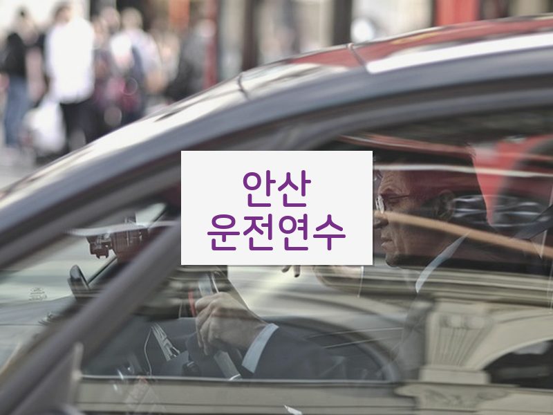 안산운전연수 후기