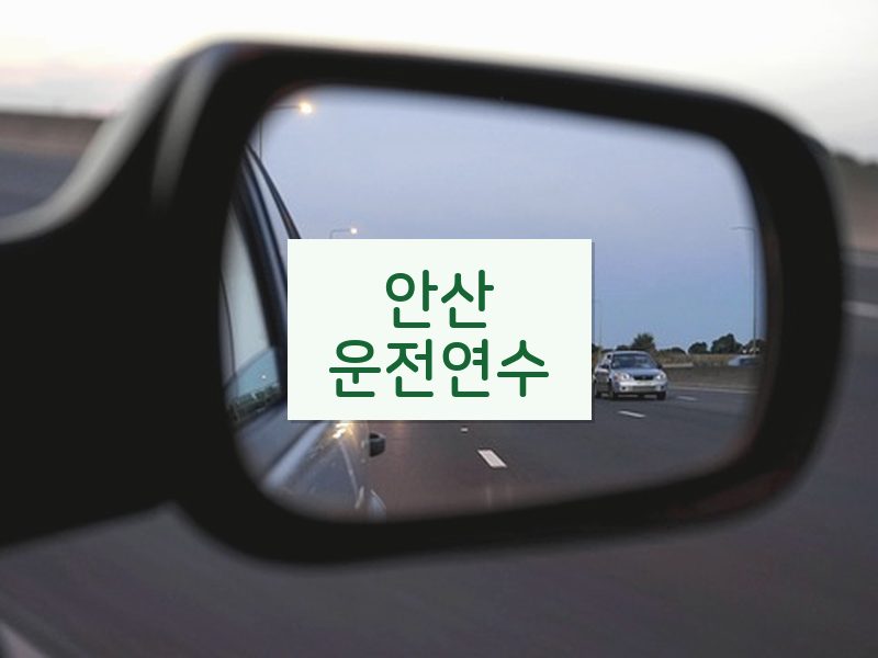 안산운전연수 후기