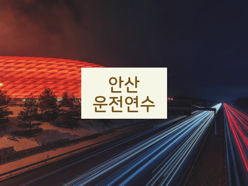 안산운전연수 후기