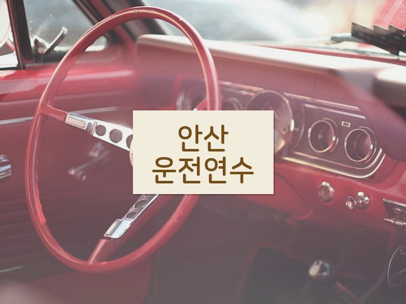안산운전연수 후기
