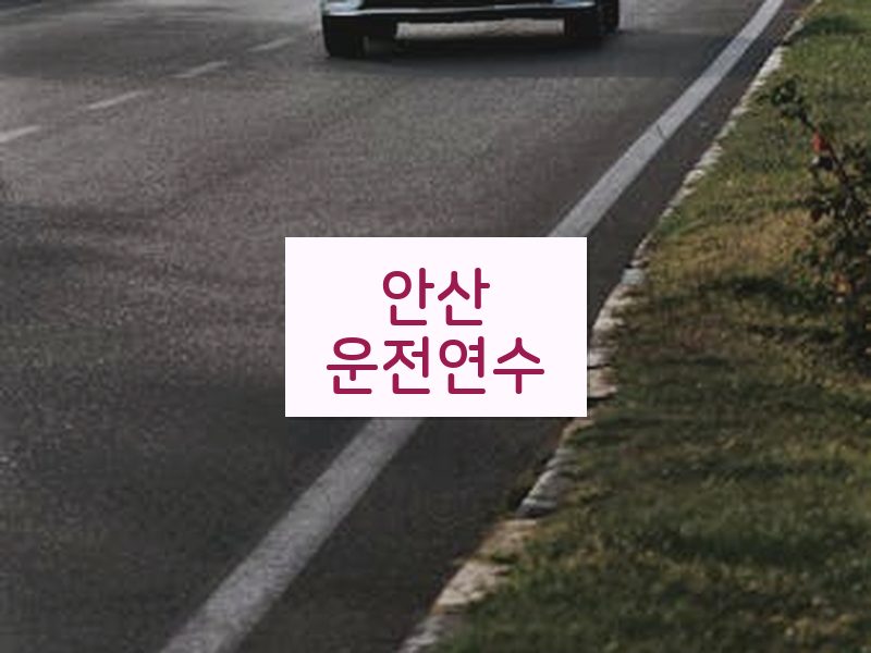 안산운전연수 후기