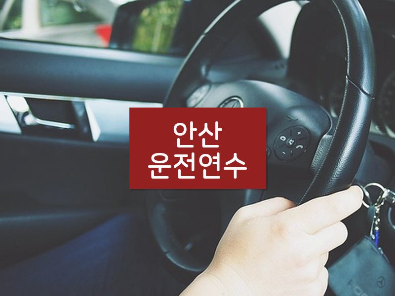 안산운전연수 후기