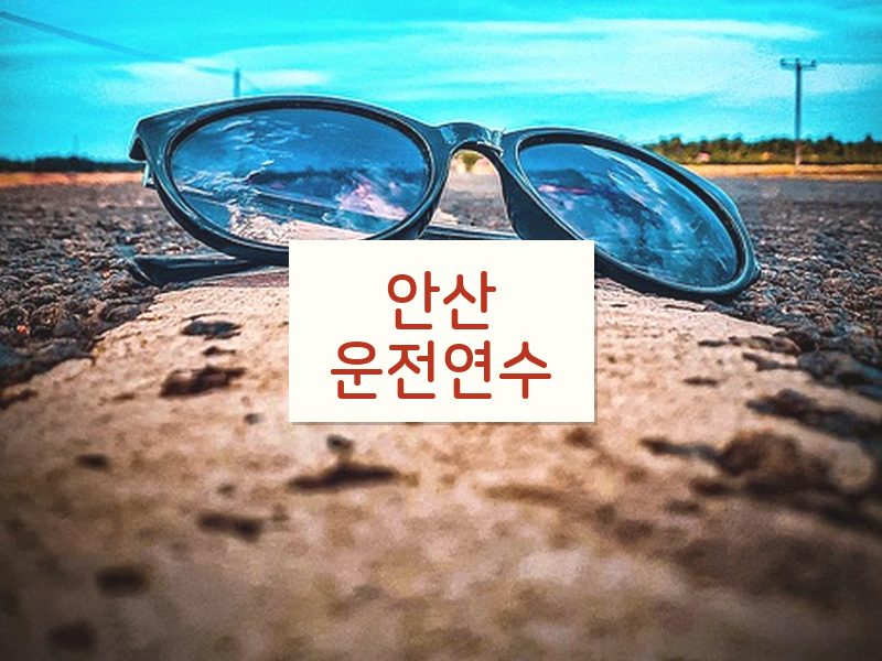 안산운전연수 후기