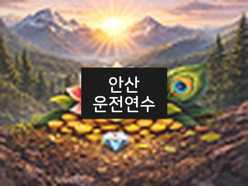 안산운전연수 후기