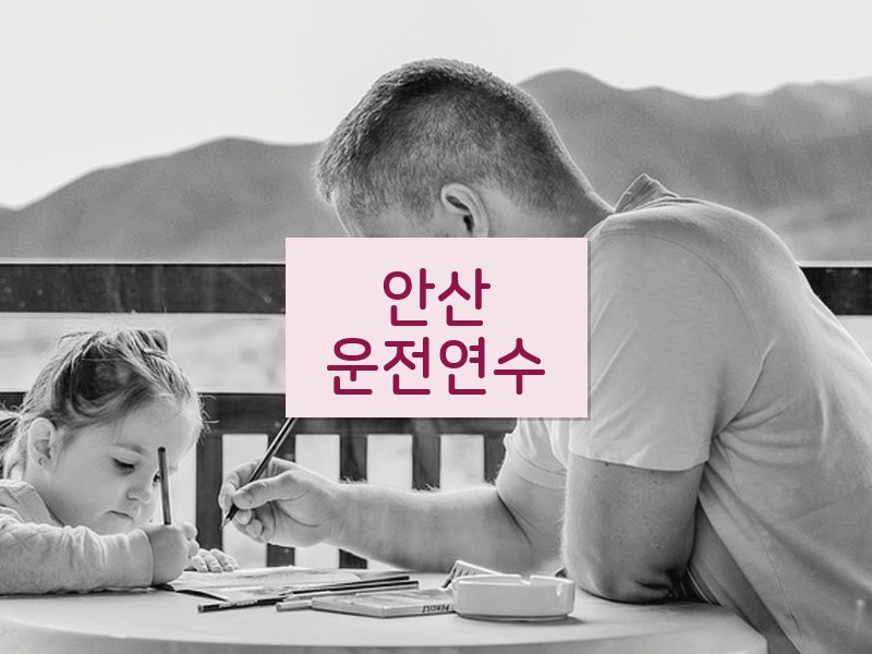 안산운전연수 후기