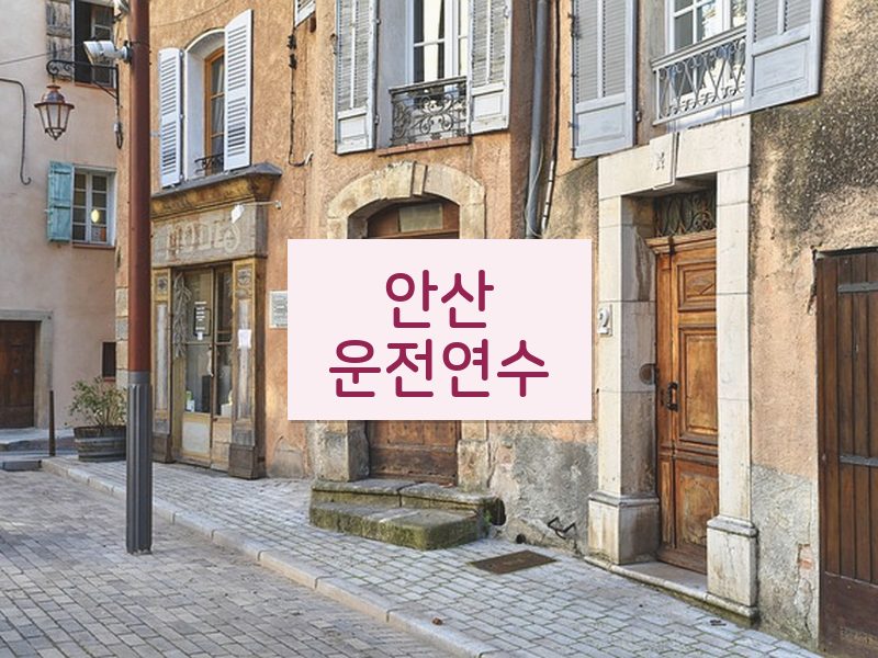 안산운전연수 후기
