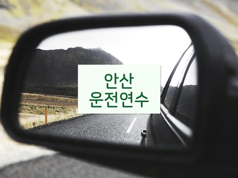 안산운전연수 후기