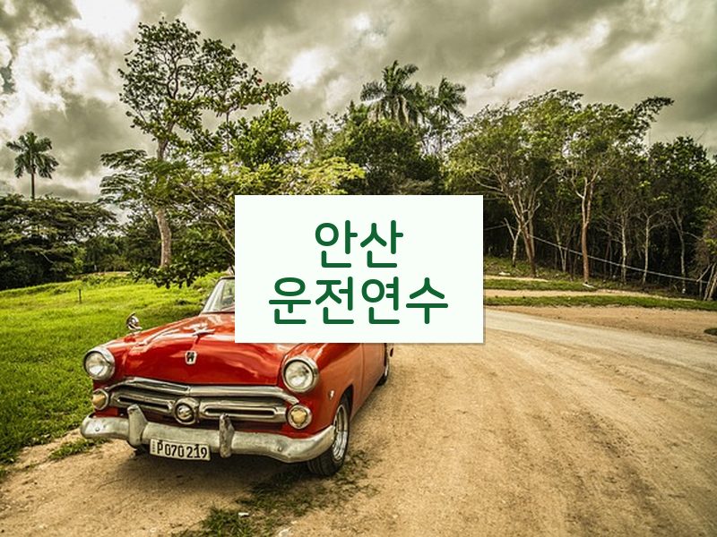 안산운전연수 후기