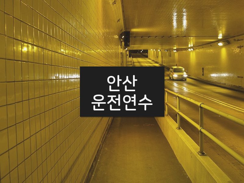 안산운전연수 후기