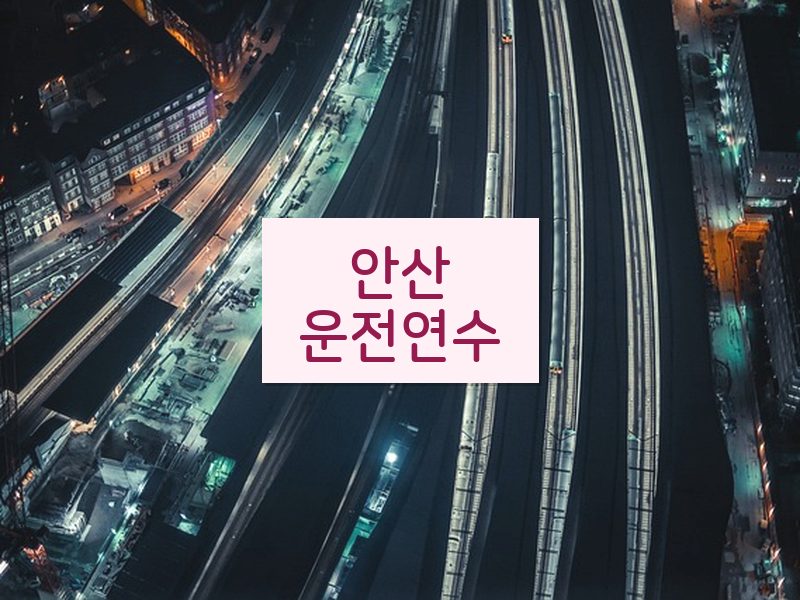 안산운전연수 후기