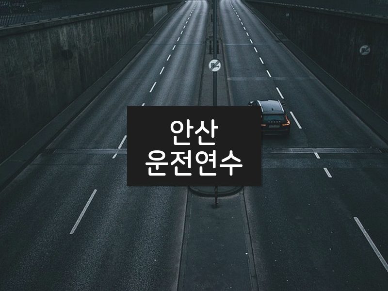 안산운전연수 후기