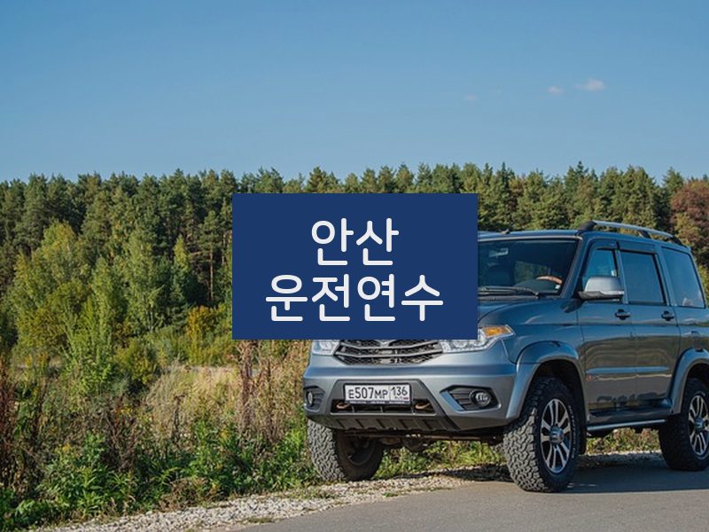 안산운전연수 후기
