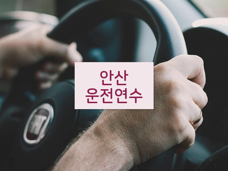 안산운전연수 후기