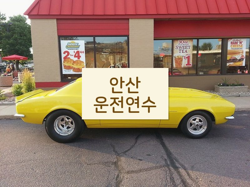 안산운전연수 후기