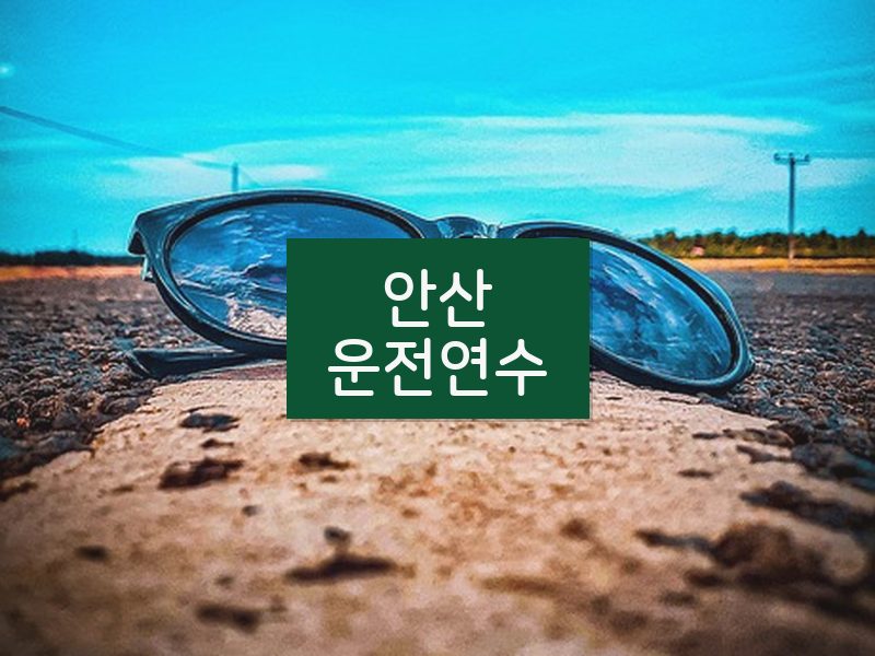 안산운전연수 후기