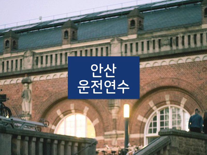 안산운전연수 후기
