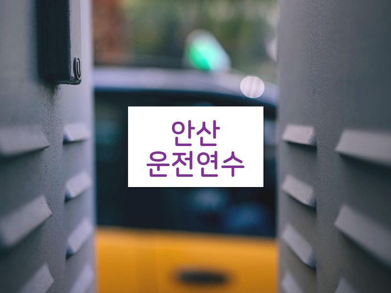 안산운전연수 후기