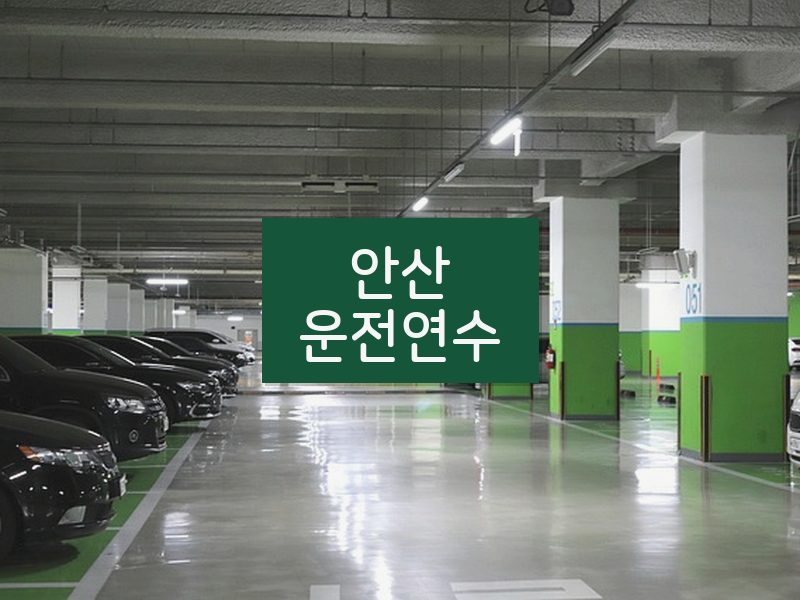 안산운전연수 후기