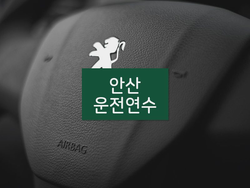 안산운전연수 후기