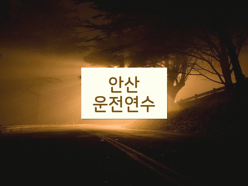 안산운전연수 후기
