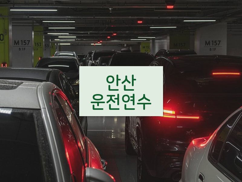 안산운전연수 후기