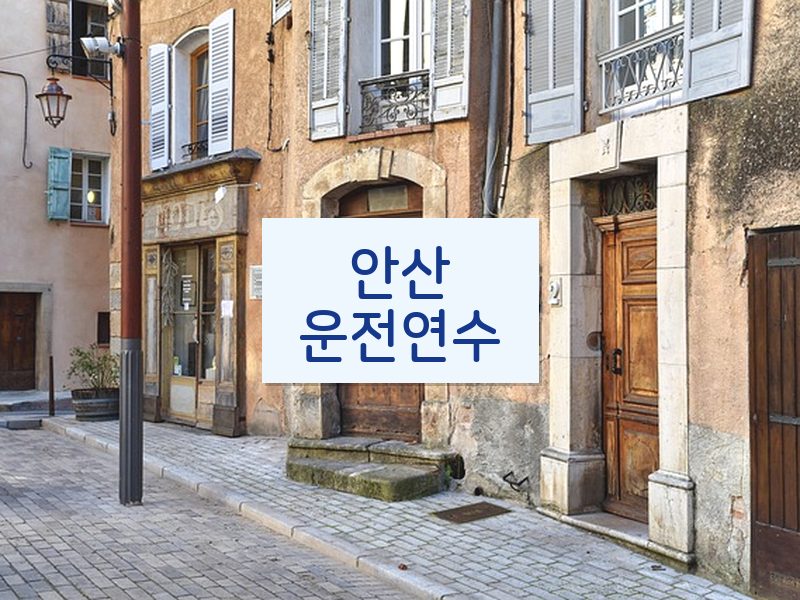 안산운전연수 후기
