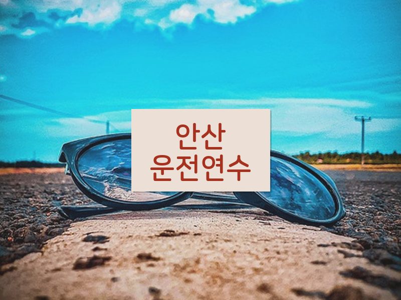 안산운전연수 후기