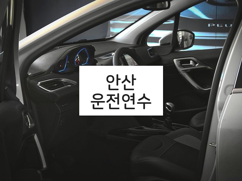 안산운전연수 후기