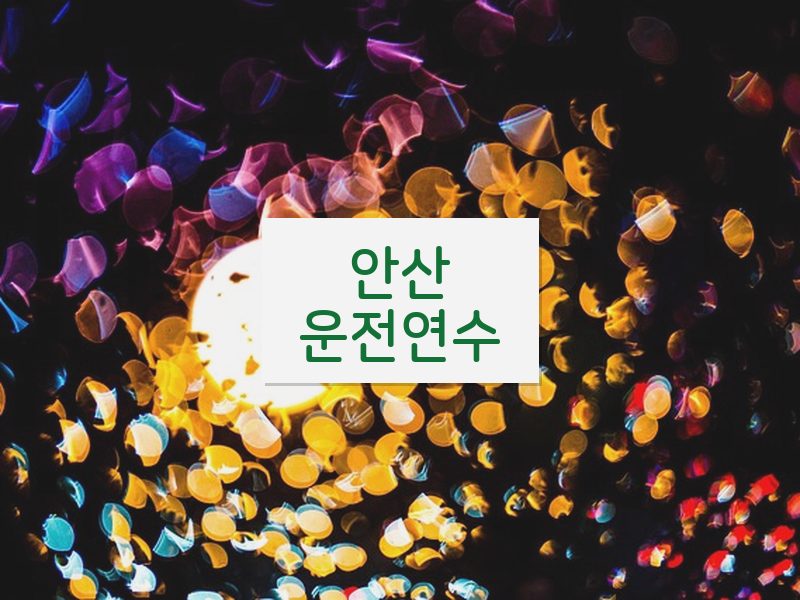 안산운전연수 후기