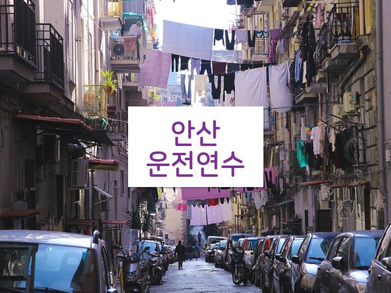 안산운전연수 후기