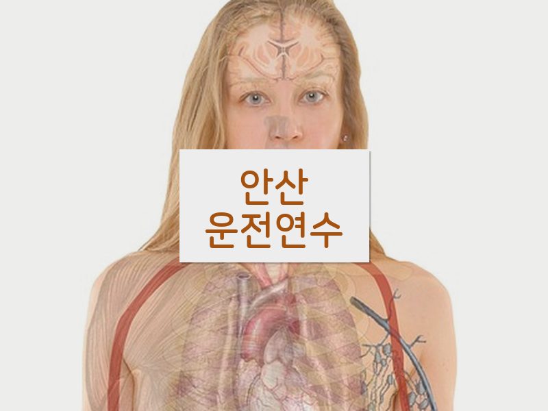 안산운전연수 후기