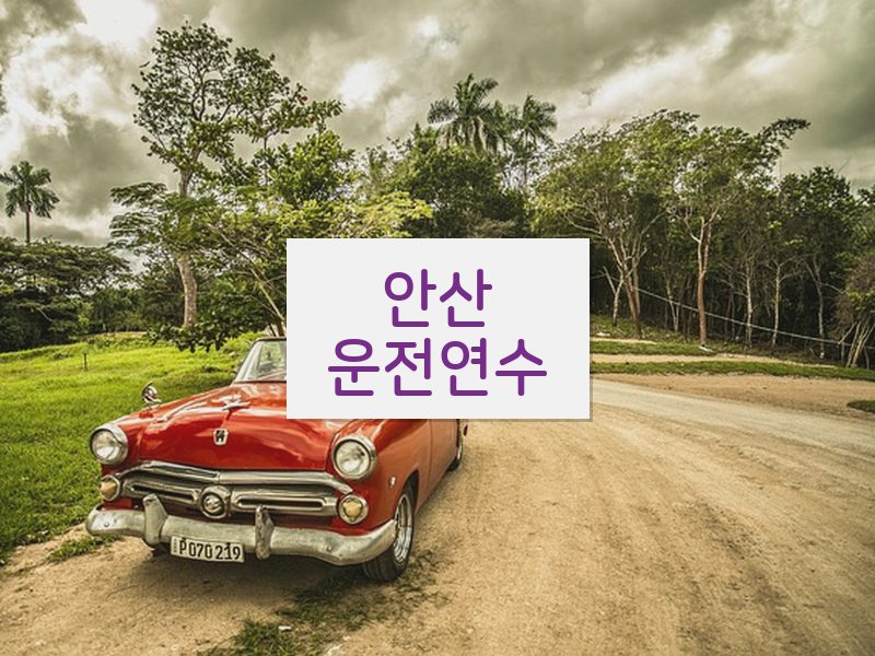 안산운전연수 후기