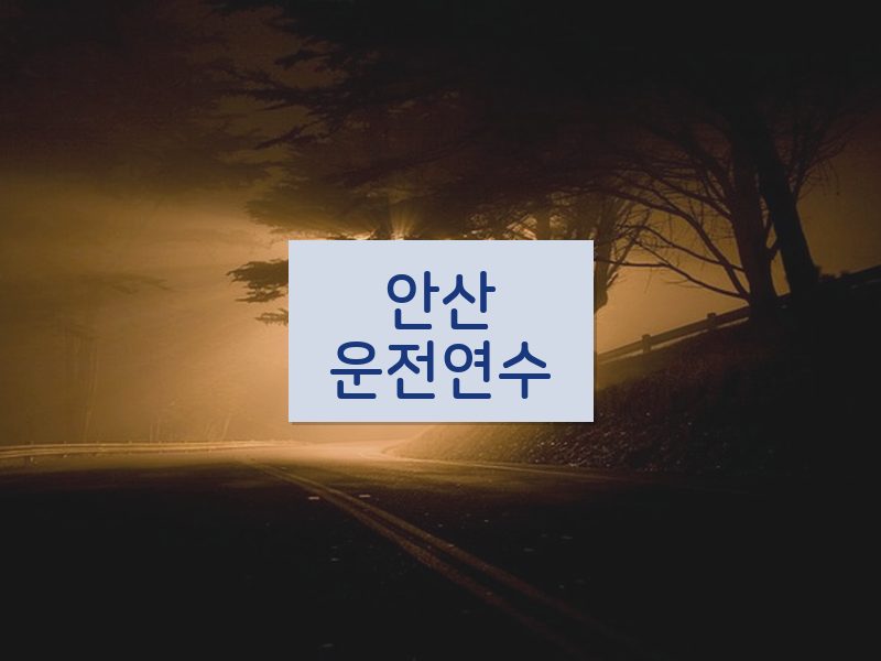 안산운전연수 후기