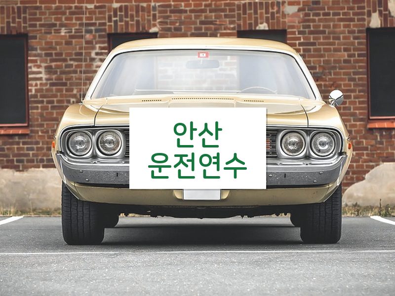안산운전연수 후기