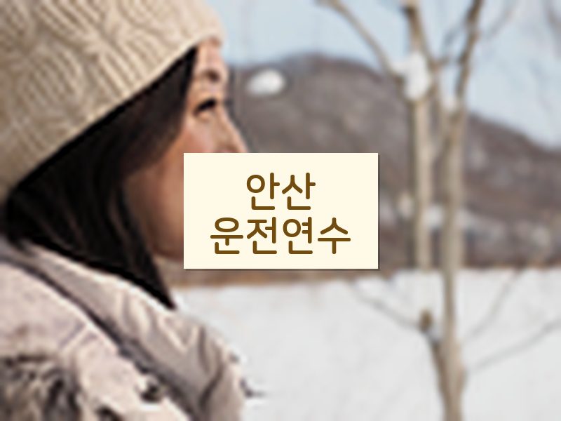 안산운전연수 후기