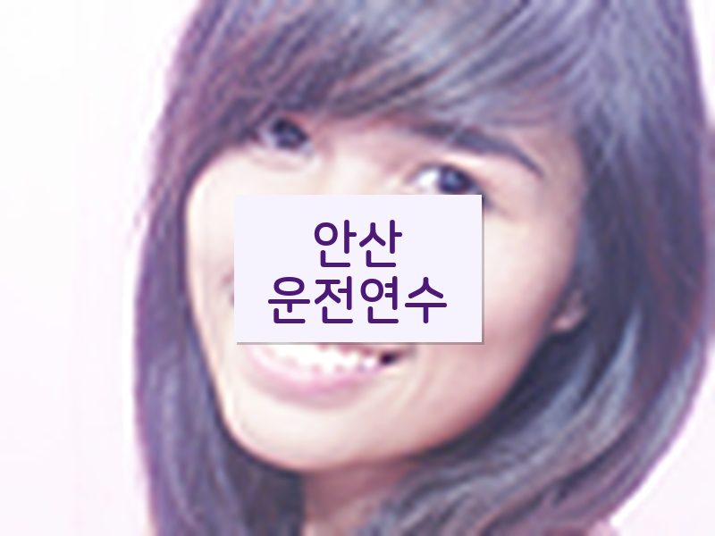 안산운전연수 후기