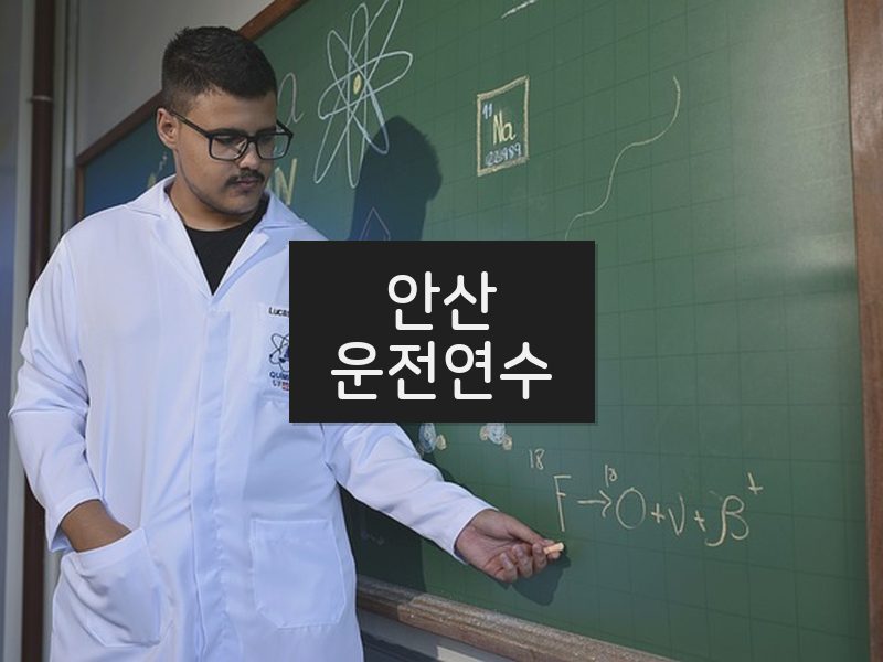 안산운전연수 후기