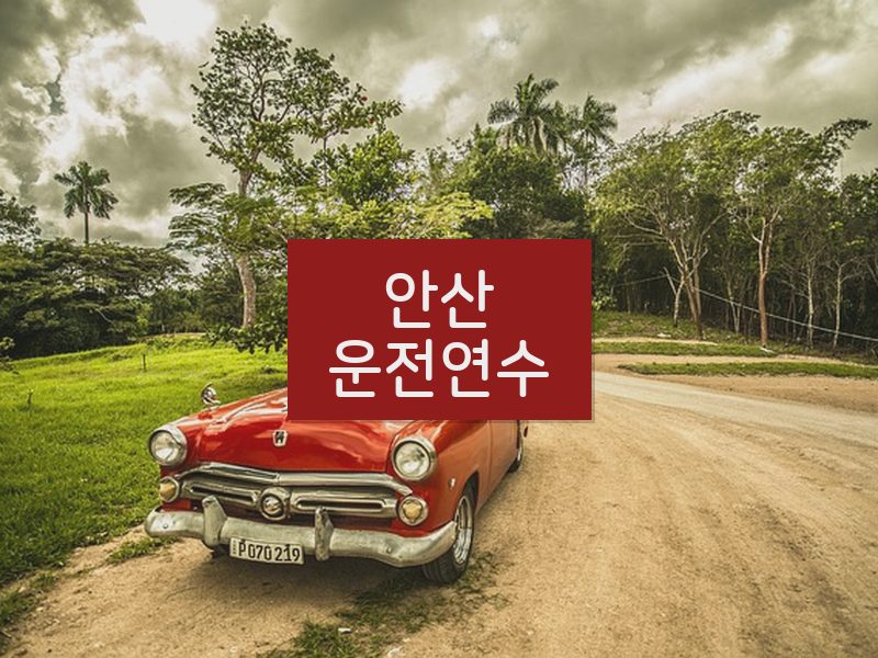 안산운전연수 후기