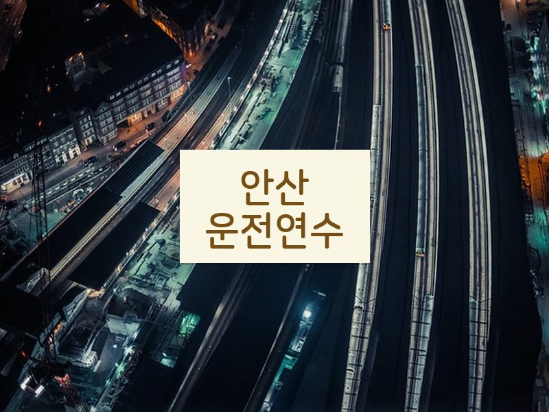 안산운전연수 후기