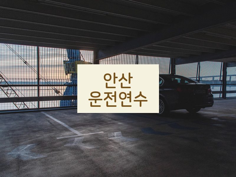 안산운전연수 후기