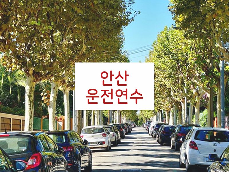 안산운전연수 후기