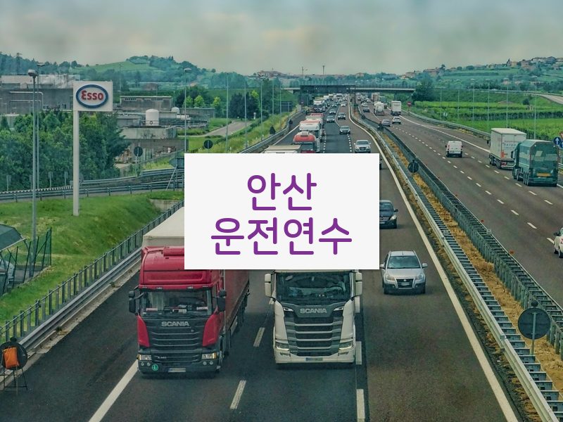 안산운전연수 후기