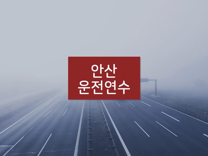 안산운전연수 후기