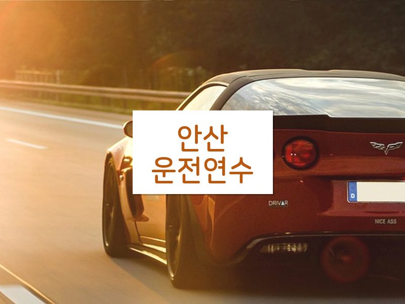 안산운전연수 후기