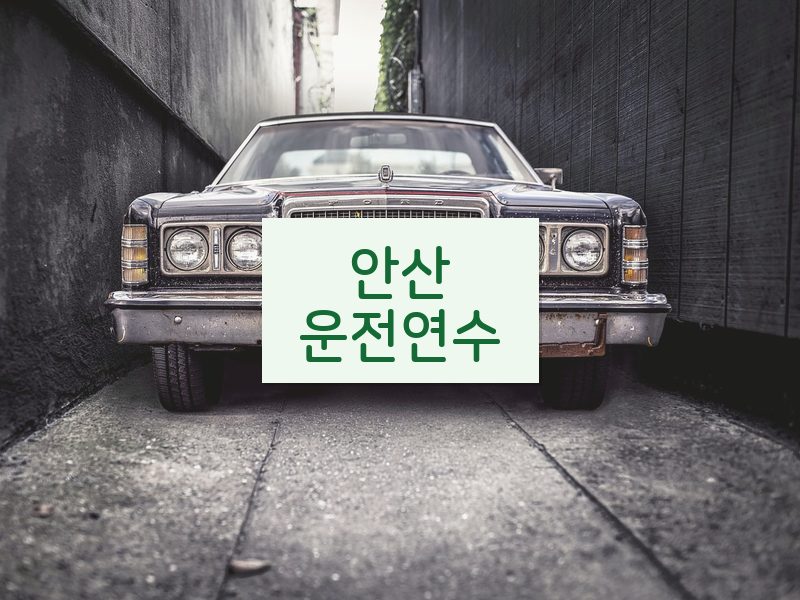 안산운전연수 후기