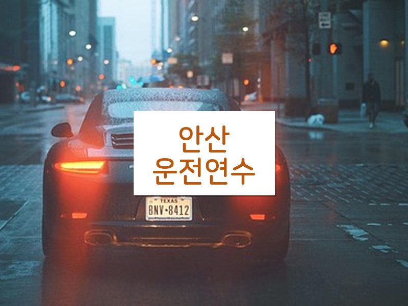 안산운전연수 후기